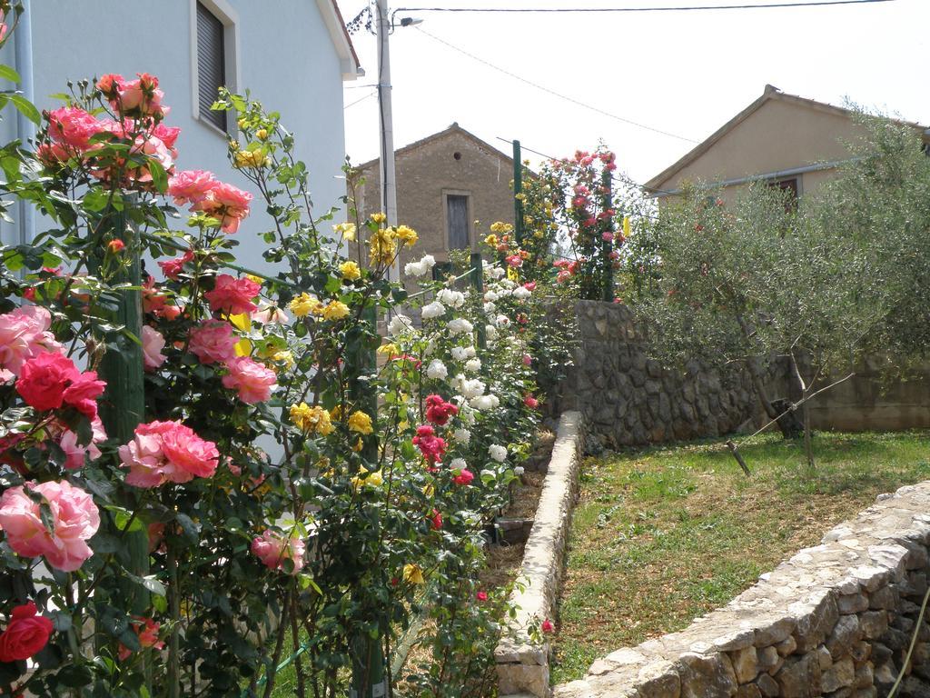 Villa Roze Čižići Bagian luar foto
